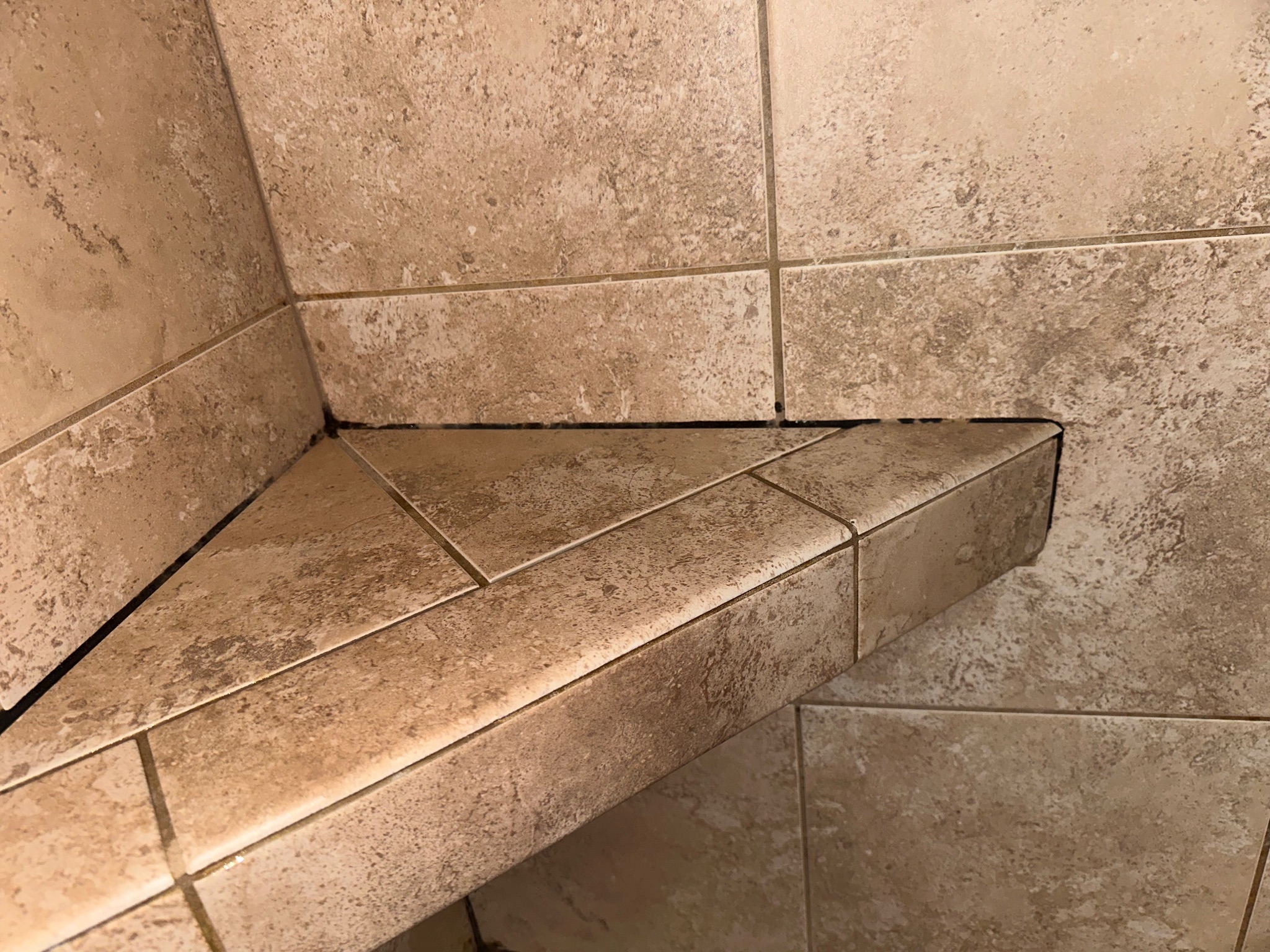 Before photo of a tiled shower with dark, mildewed caulk and grout lines in Johnston, Iowa, as part of a shower grout and caulk remediation project.