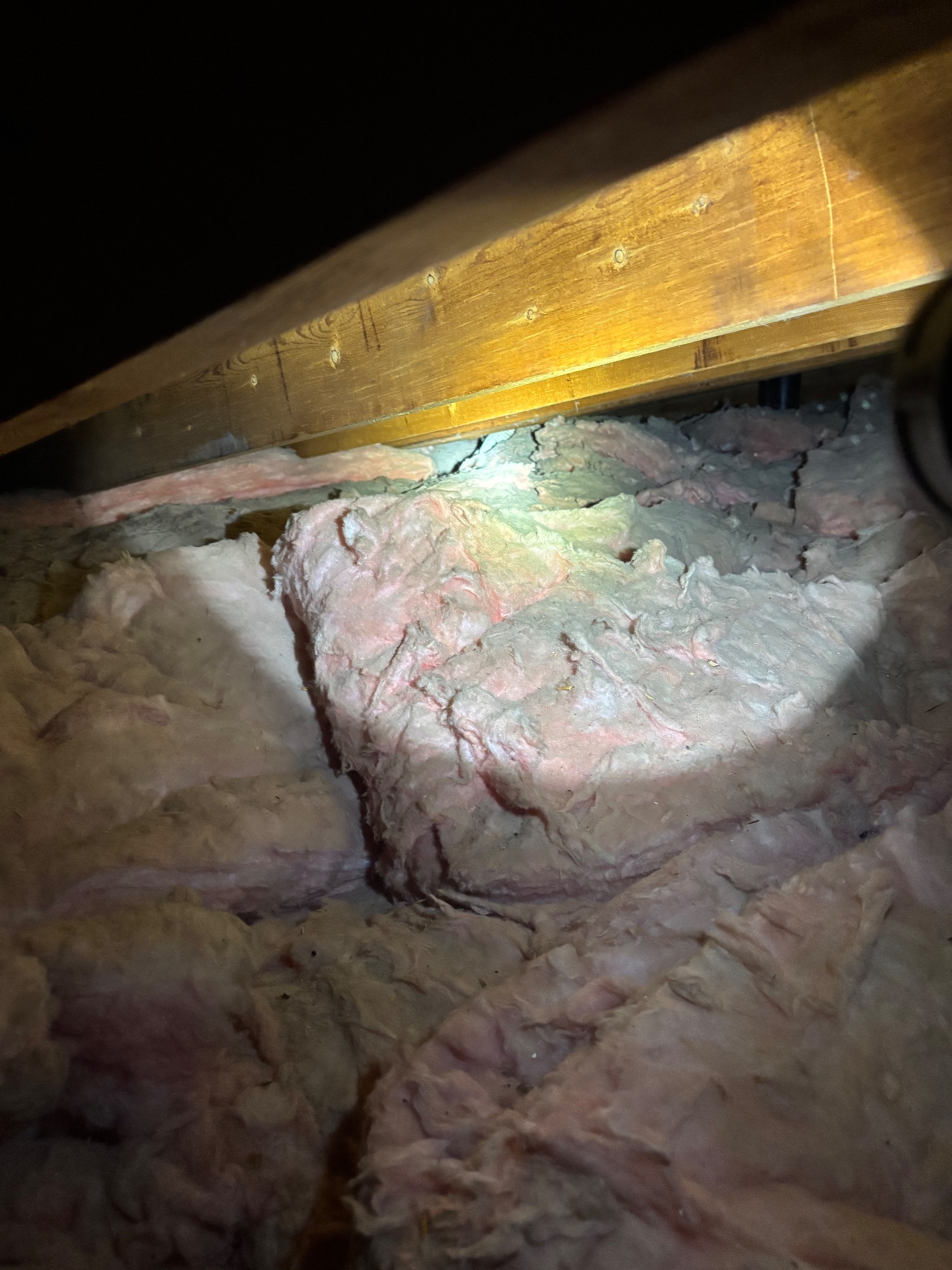 Close-up of new unfaced batt insulation being installed in an attic in Ames, Iowa.